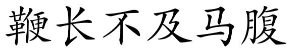 鞭长不及马腹的解释