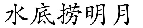 水底捞明月的解释