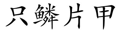 只鳞片甲的解释