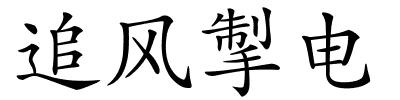 追风掣电的解释