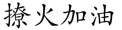 撩火加油的解释