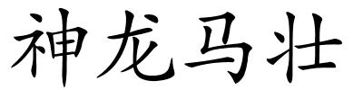 神龙马壮的解释