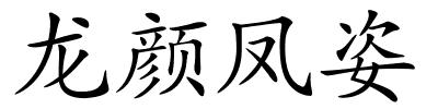 龙颜凤姿的解释